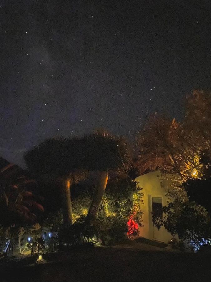 Sweet Home Masca Esterno foto